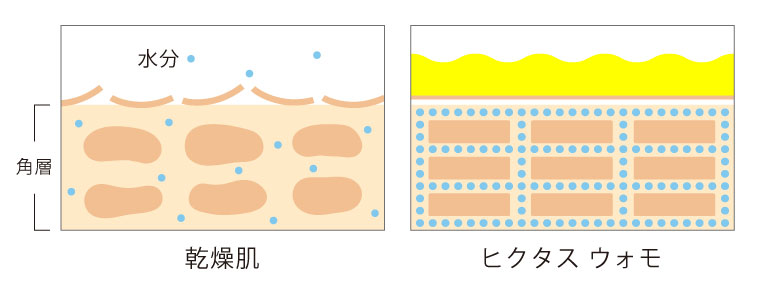マッサージ生洗顔HICTAS　uomoヒクタスウォモ